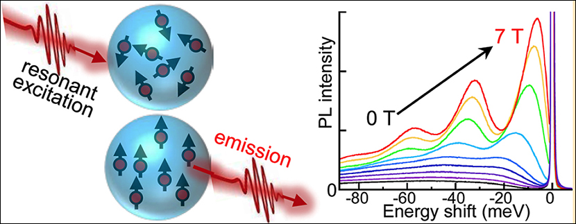 The illustration depicts the formation of magnetic polarons in Mn-doped CdSe nanocrystals